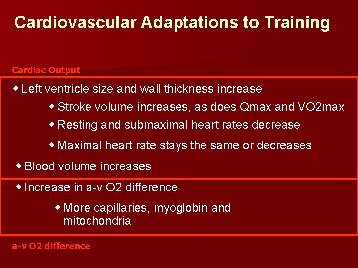 Cardiovascular Adaptations to Training Cardiac Output w Left ventricle size and wall thickness increase