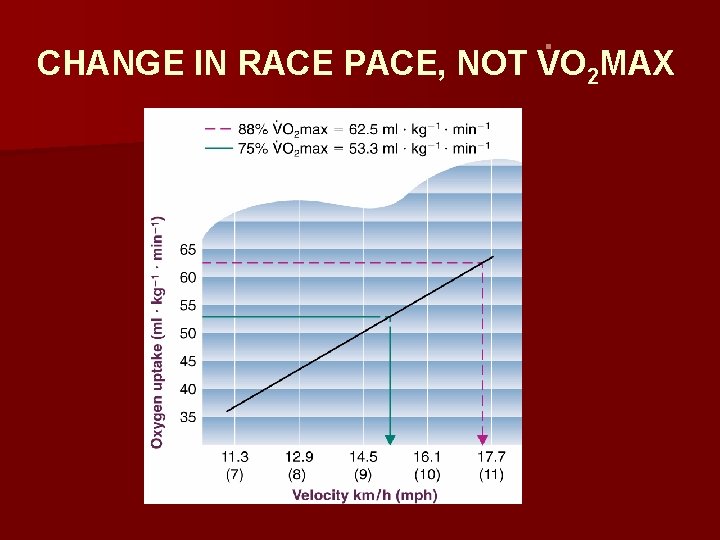 . CHANGE IN RACE PACE, NOT VO 2 MAX 