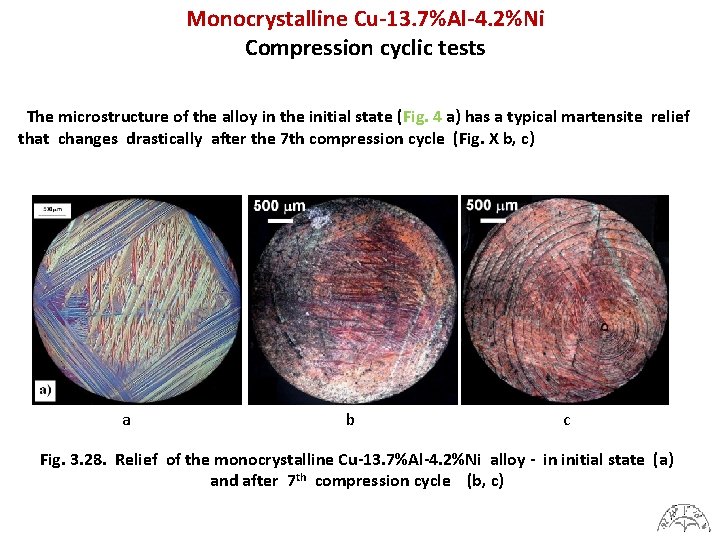 Monocrystalline Cu-13. 7%Al-4. 2%Ni Compression cyclic tests The microstructure of the alloy in the