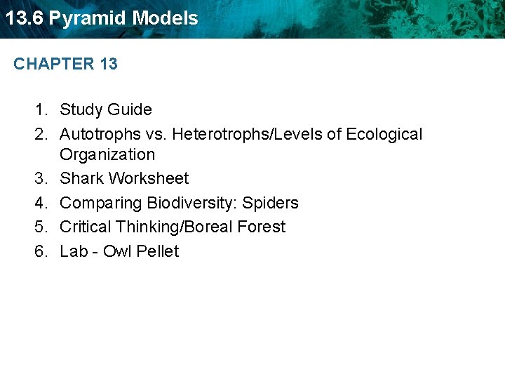 13. 6 Pyramid Models CHAPTER 13 1. Study Guide 2. Autotrophs vs. Heterotrophs/Levels of