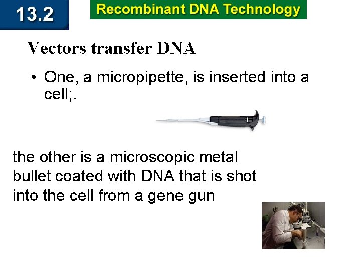 Vectors transfer DNA • One, a micropipette, is inserted into a cell; . the