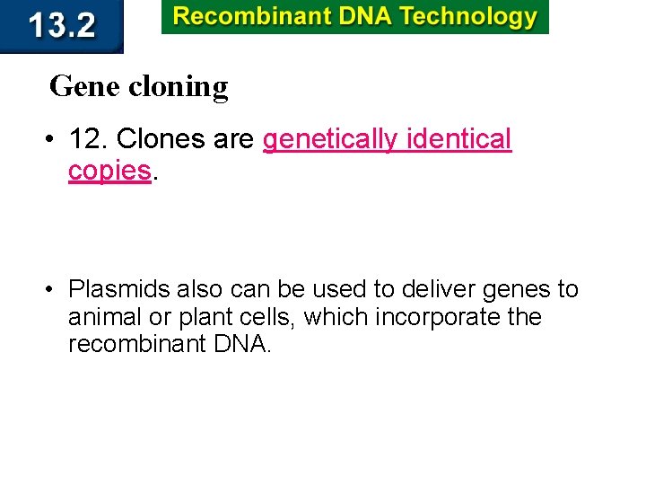 Gene cloning • 12. Clones are genetically identical copies. • Plasmids also can be