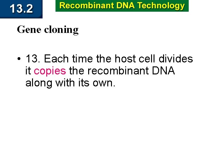 Gene cloning • 13. Each time the host cell divides it copies the recombinant
