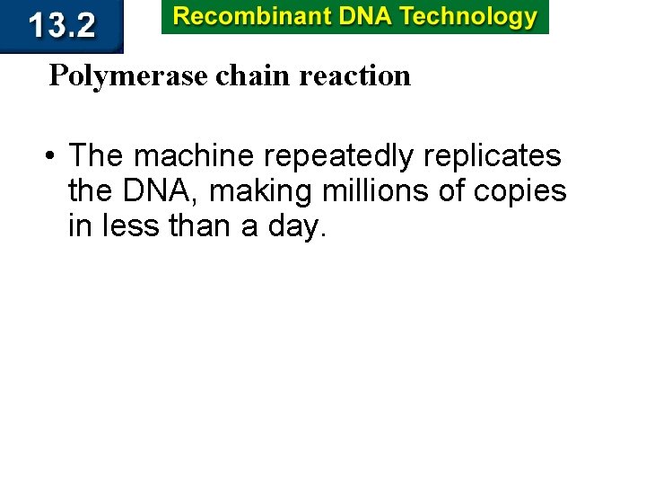 Polymerase chain reaction • The machine repeatedly replicates the DNA, making millions of copies