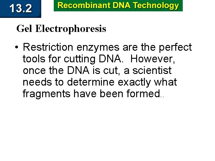 Gel Electrophoresis • Restriction enzymes are the perfect tools for cutting DNA. However, once
