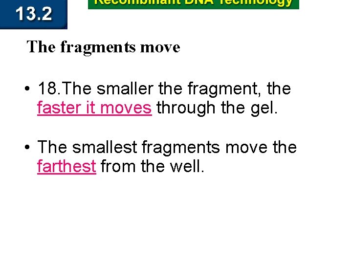 The fragments move • 18. The smaller the fragment, the faster it moves through
