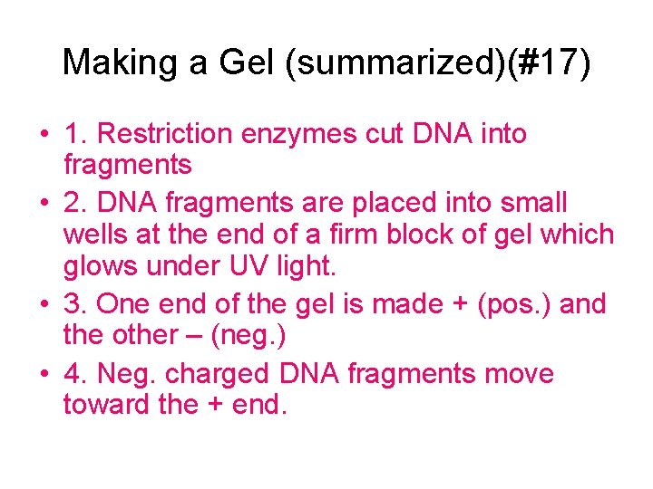 Making a Gel (summarized)(#17) • 1. Restriction enzymes cut DNA into fragments • 2.