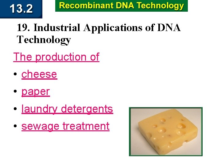 19. Industrial Applications of DNA Technology The production of • cheese • paper •
