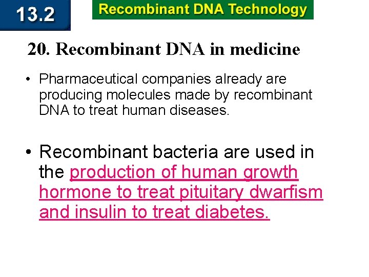 20. Recombinant DNA in medicine • Pharmaceutical companies already are producing molecules made by