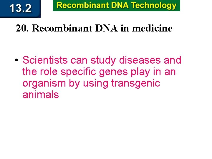 20. Recombinant DNA in medicine • Scientists can study diseases and the role specific