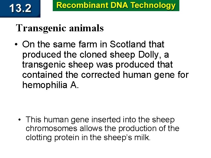 Transgenic animals • On the same farm in Scotland that produced the cloned sheep