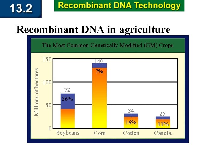Recombinant DNA in agriculture The Most Common Genetically Modified (GM) Crops Millions of hectares