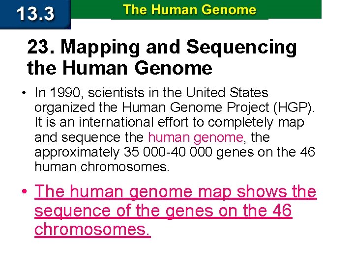23. Mapping and Sequencing the Human Genome • In 1990, scientists in the United