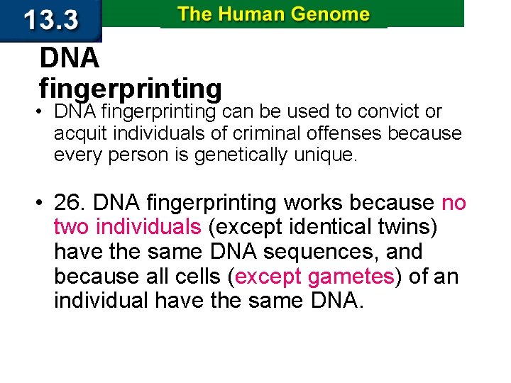 DNA fingerprinting • DNA fingerprinting can be used to convict or acquit individuals of
