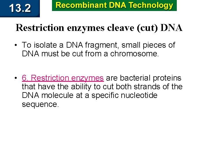 Restriction enzymes cleave (cut) DNA • To isolate a DNA fragment, small pieces of