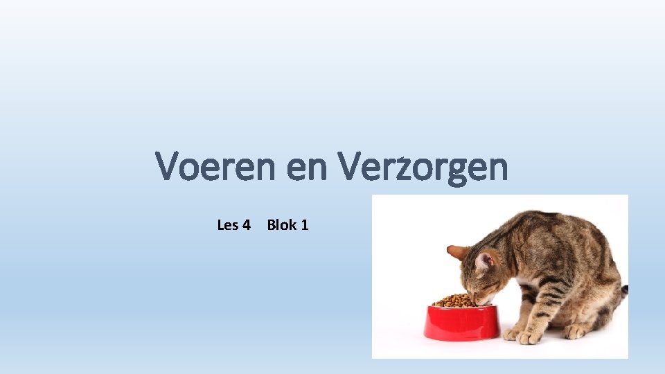 Voeren en Verzorgen Les 4 Blok 1 