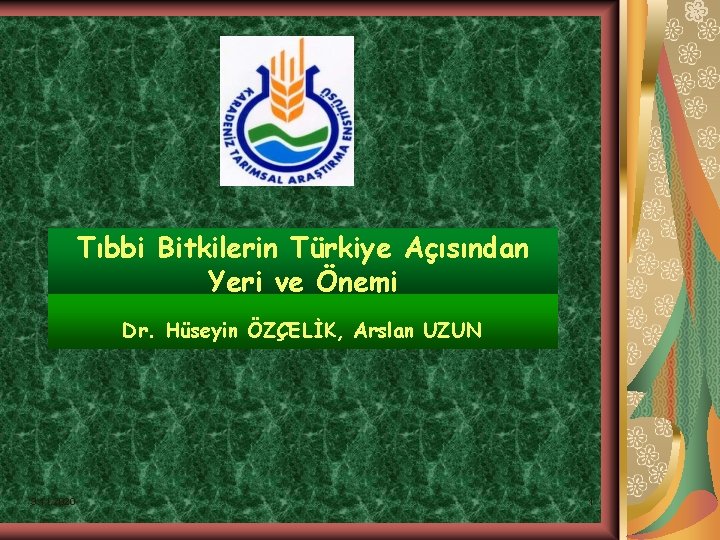 Tıbbi Bitkilerin Türkiye Açısından Yeri ve Önemi Dr. Hüseyin ÖZÇELİK, Arslan UZUN 3. 11.