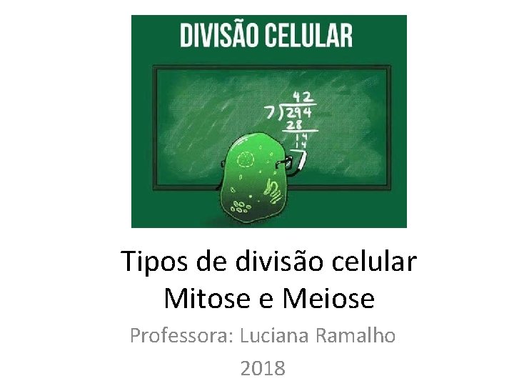 Tipos de divisão celular Mitose e Meiose Professora: Luciana Ramalho 2018 