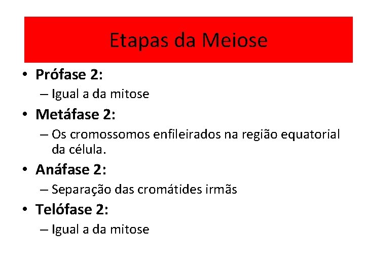 Meiose 2 Etapas da Meiose • Prófase 2: – Igual a da mitose •