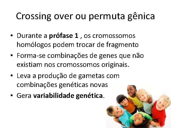 Crossing over ou permuta gênica • Durante a prófase 1 , os cromossomos homólogos