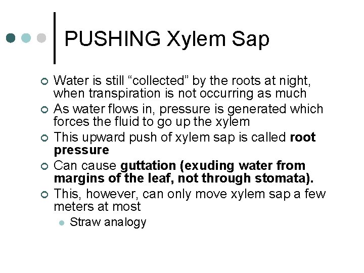 PUSHING Xylem Sap ¢ ¢ ¢ Water is still “collected” by the roots at