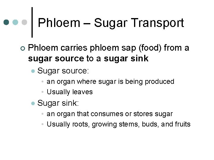 Phloem – Sugar Transport ¢ Phloem carries phloem sap (food) from a sugar source