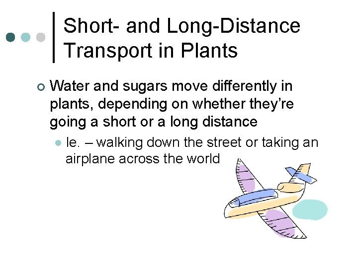 Short- and Long-Distance Transport in Plants ¢ Water and sugars move differently in plants,
