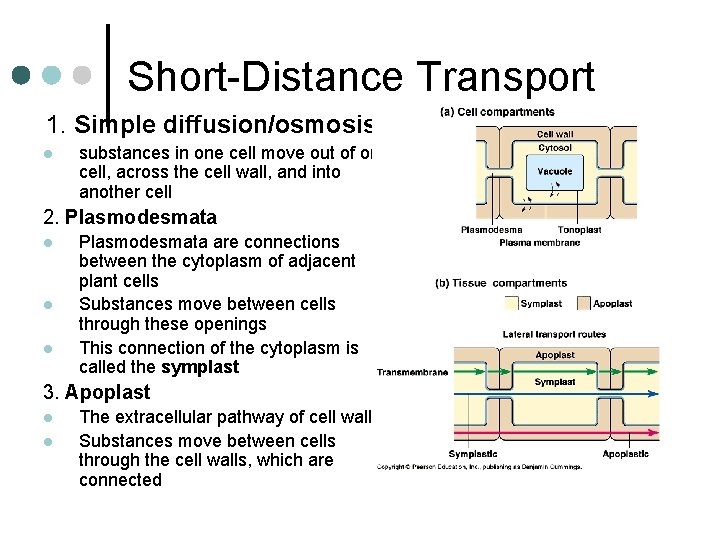 Short-Distance Transport 1. Simple diffusion/osmosis l substances in one cell move out of one