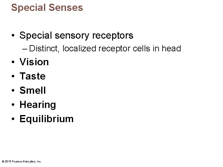 Special Senses • Special sensory receptors – Distinct, localized receptor cells in head •
