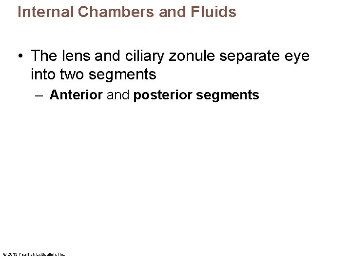 Internal Chambers and Fluids • The lens and ciliary zonule separate eye into two