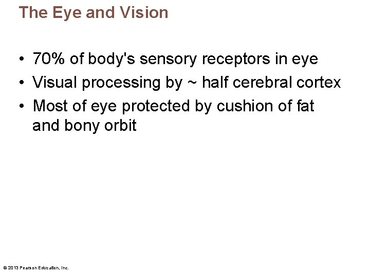 The Eye and Vision • 70% of body's sensory receptors in eye • Visual