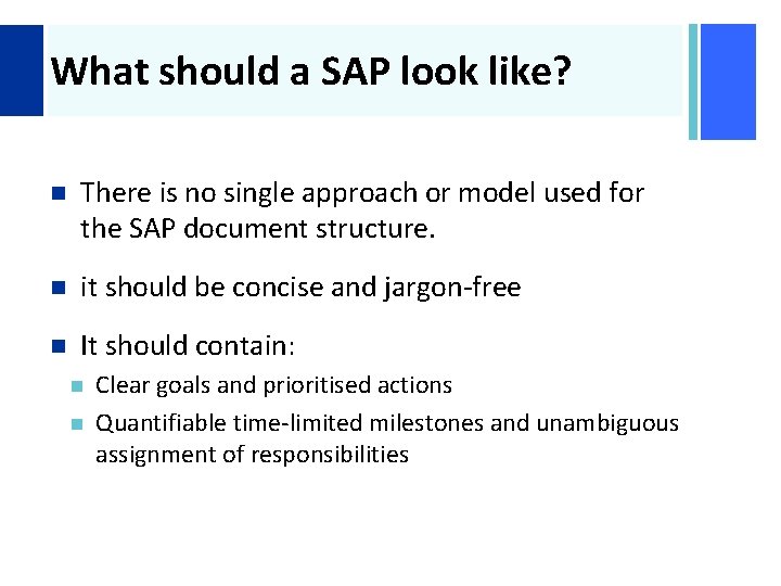 + What should a SAP look like? n There is no single approach or