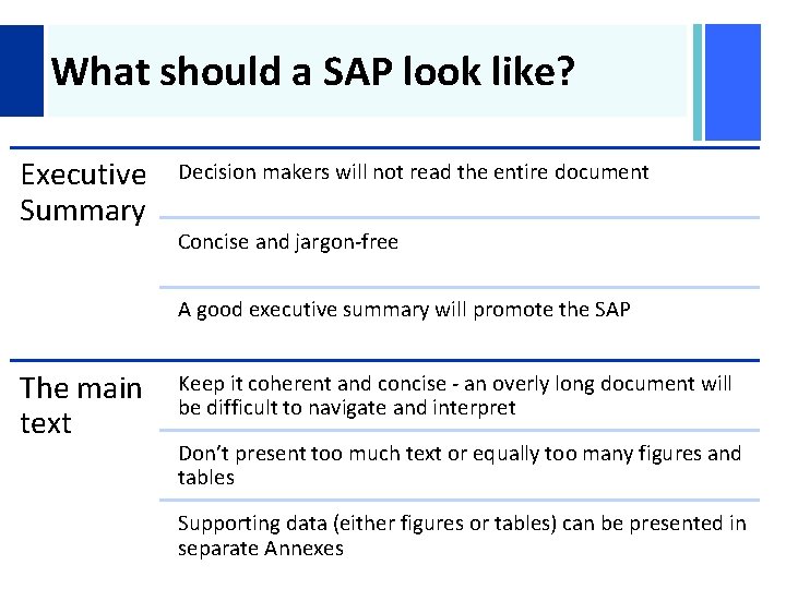 + What should a SAP look like? Executive Summary Decision makers will not read