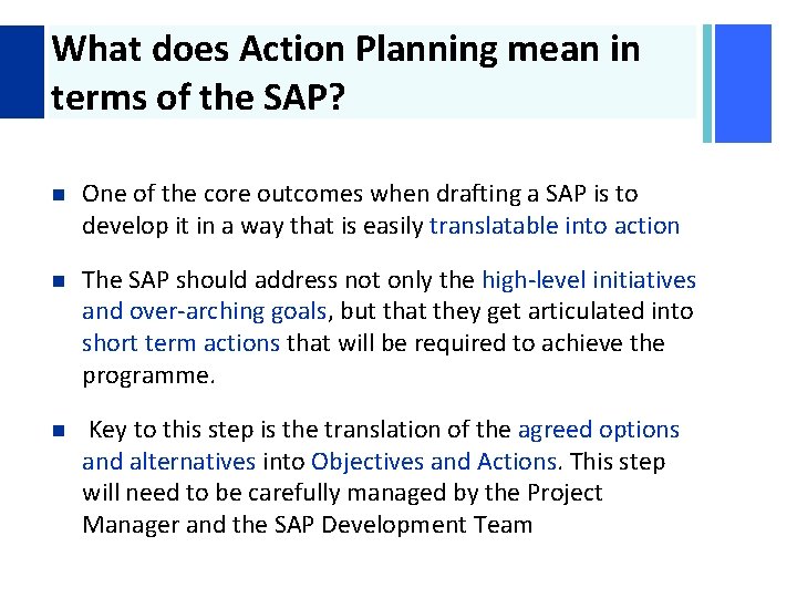 + What does Action Planning mean in terms of the SAP? n One of