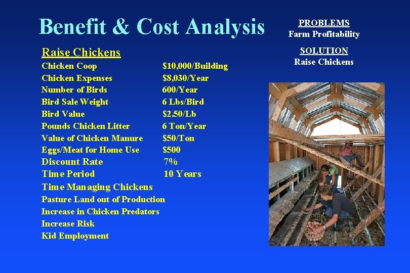 Benefit & Cost Analysis Raise Chickens Chicken Coop Chicken Expenses Number of Birds Bird