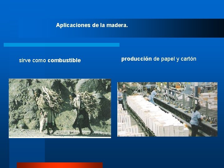 Aplicaciones de la madera. sirve como combustible producción de papel y cartón 
