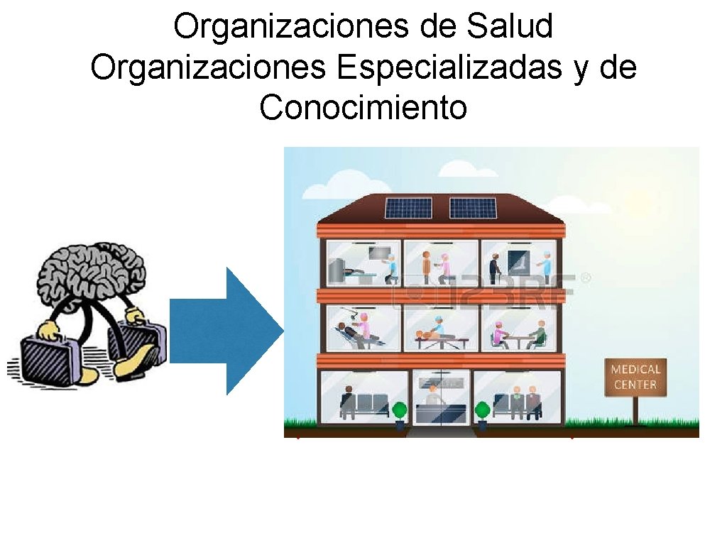 Organizaciones de Salud Organizaciones Especializadas y de Conocimiento 