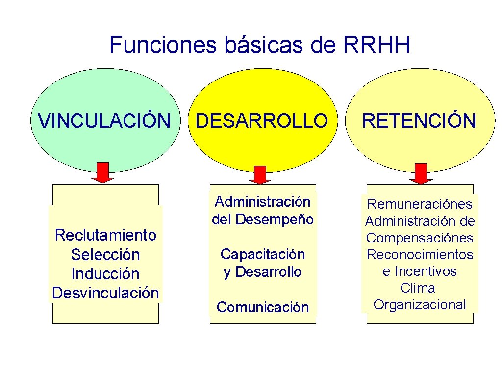 Funciones básicas de RRHH VINCULACIÓN Reclutamiento Selección Inducción Desvinculación DESARROLLO RETENCIÓN Administración del Desempeño
