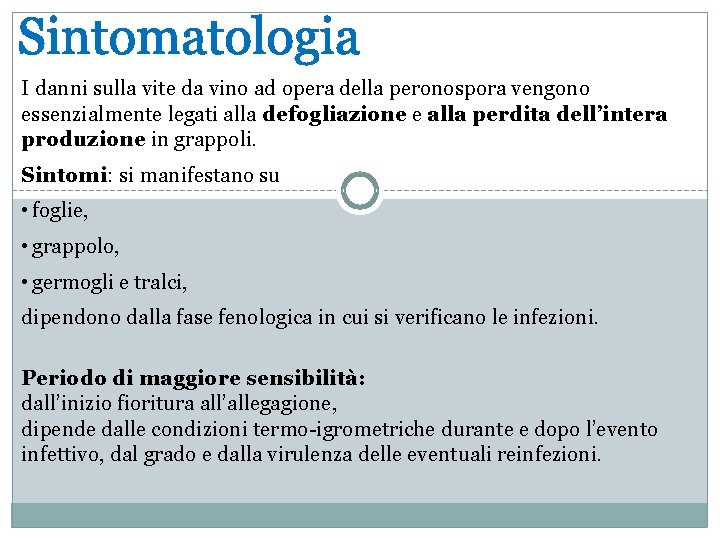 I danni sulla vite da vino ad opera della peronospora vengono essenzialmente legati alla