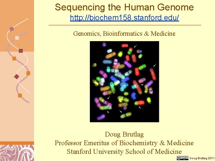 Sequencing the Human Genome http: //biochem 158. stanford. edu/ Genomics, Bioinformatics & Medicine Doug