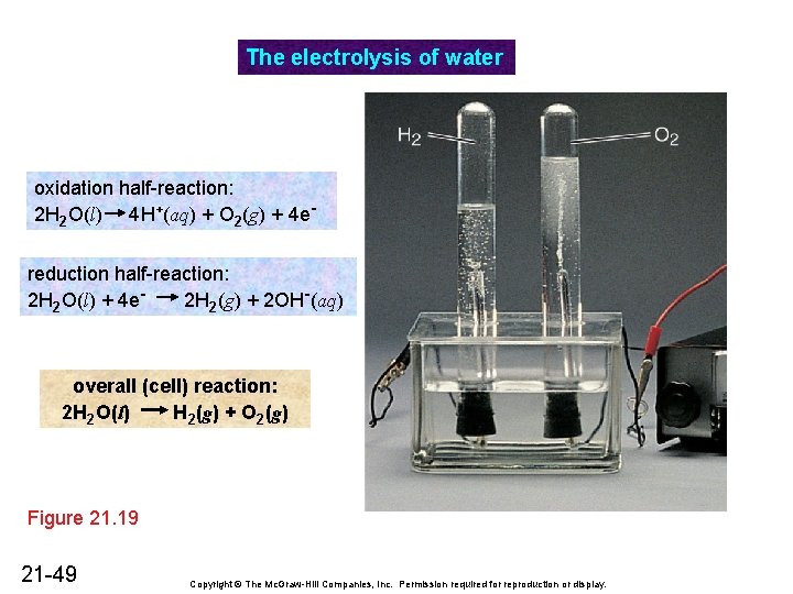 The electrolysis of water oxidation half-reaction: 2 H 2 O(l) 4 H+(aq) + O