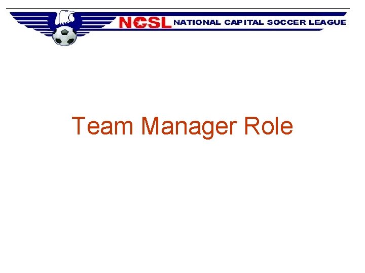 Team Manager Role 