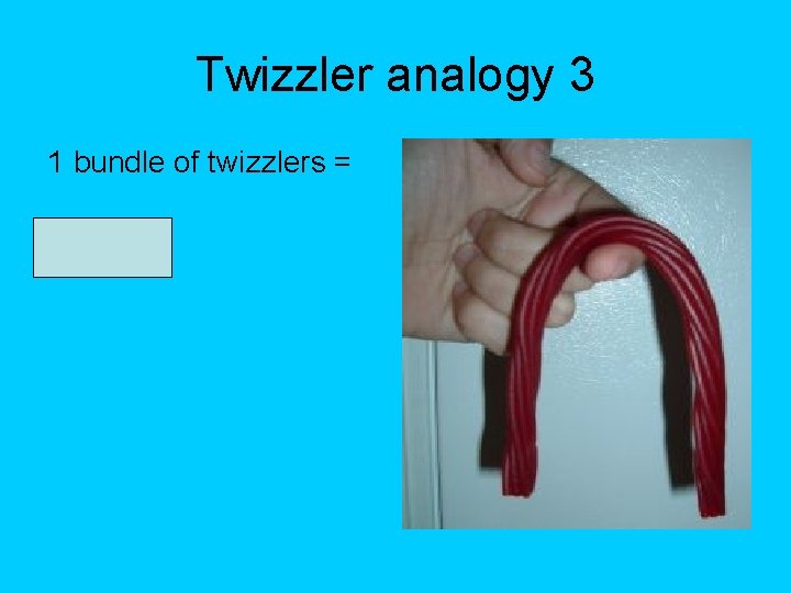 Twizzler analogy 3 1 bundle of twizzlers = myofibril Twizzler analogy 3 1 bundle of twizzlers = myofibril