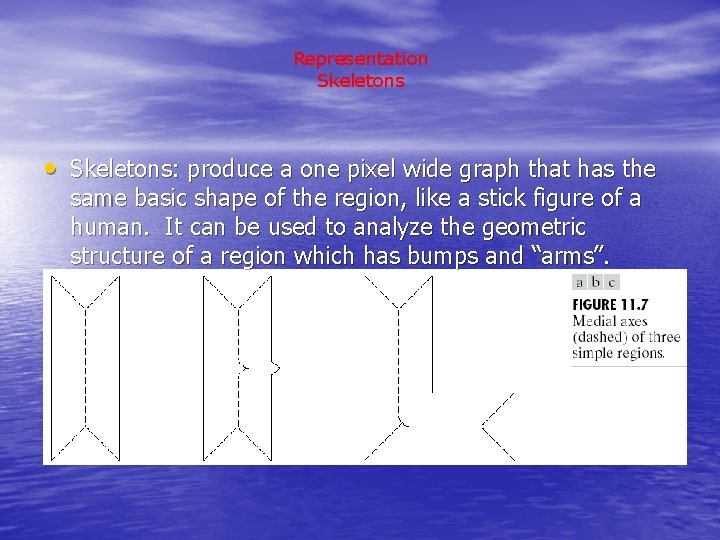 Representation Skeletons • Skeletons: produce a one pixel wide graph that has the same