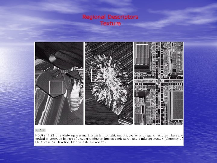 Regional Descriptors Texture 