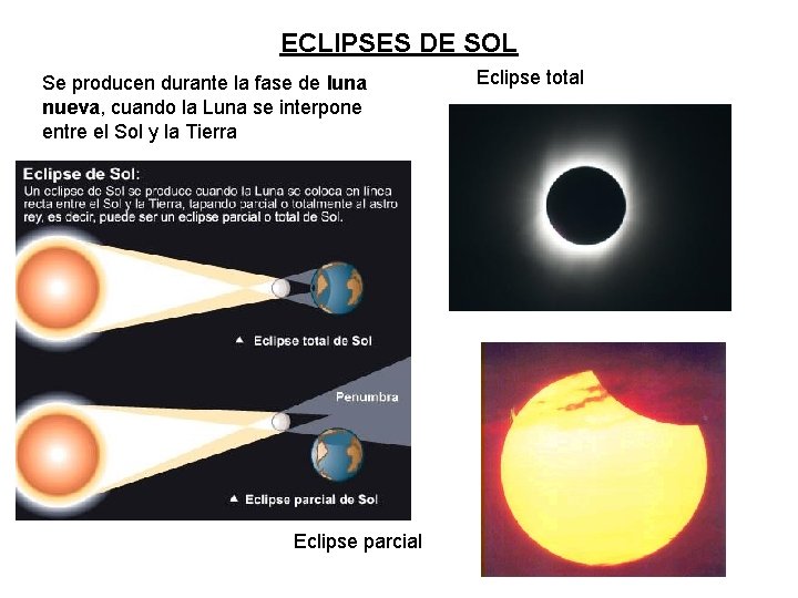 ECLIPSES DE SOL Se producen durante la fase de luna nueva, cuando la Luna