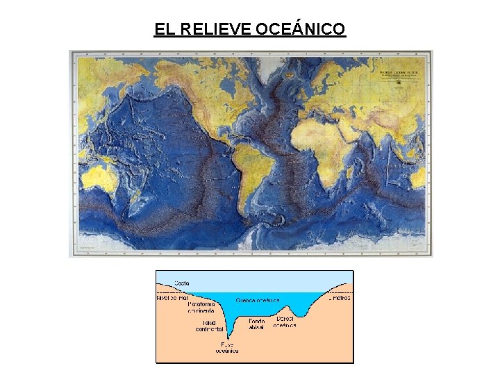 EL RELIEVE OCEÁNICO 