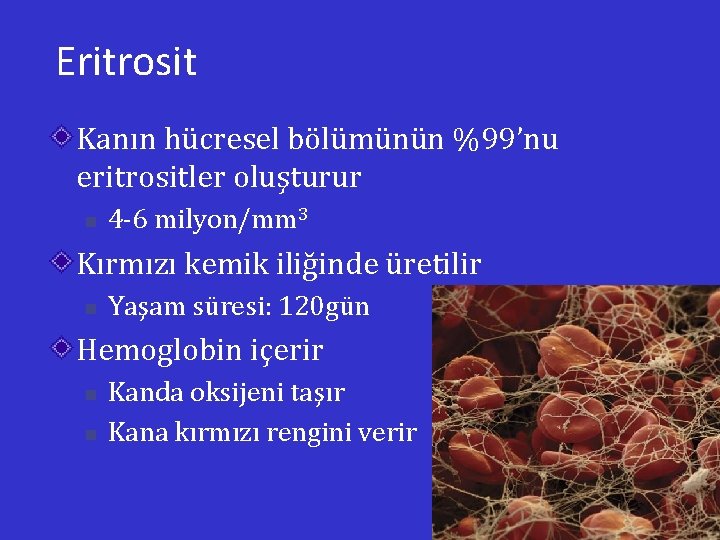 Eritrosit Kanın hücresel bölümünün %99’nu eritrositler oluşturur n 4 -6 milyon/mm 3 Kırmızı kemik