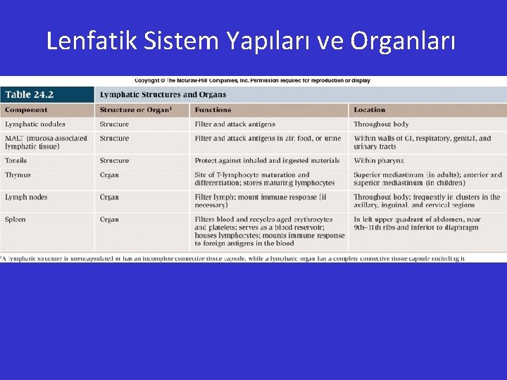 Lenfatik Sistem Yapıları ve Organları 