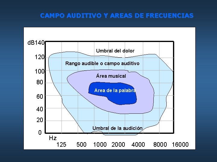 CAMPO AUDITIVO Y AREAS DE FRECUENCIAS d. B 140 Umbral del dolor 120 Rango
